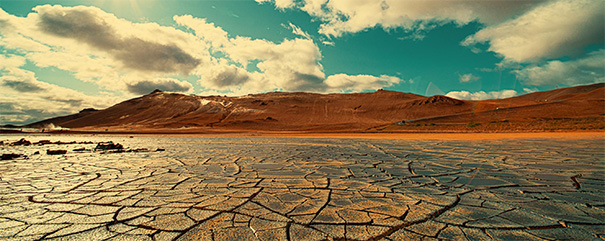 Dry Cracked Earth