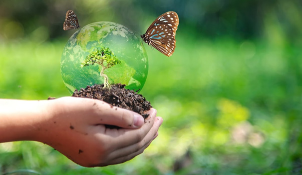 Holding World with Tree and Butterfly - Biodiversity Symbol