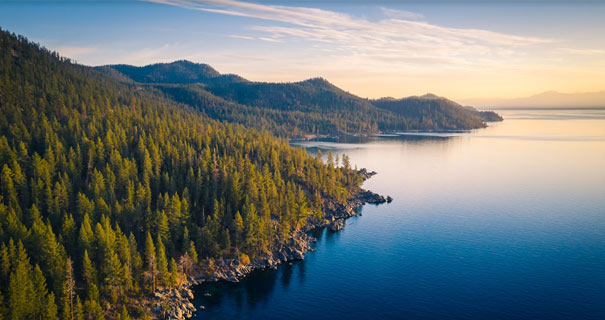 Forest and Lake