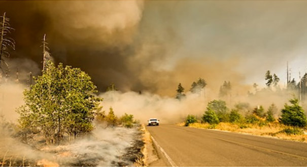 Car Escaping Forest Fire