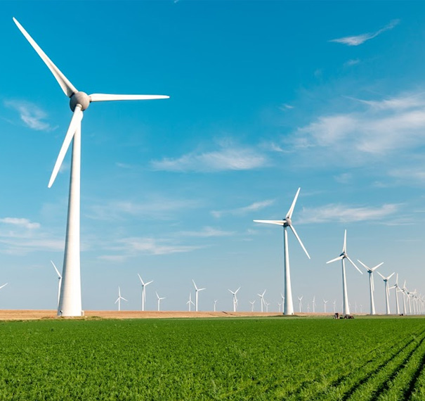 Wind Power in Field