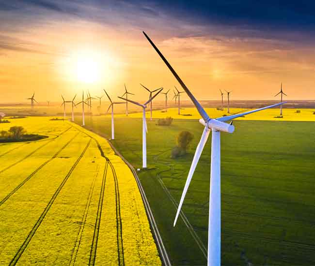 Wind Mills at Sunrise in Field of Flowers