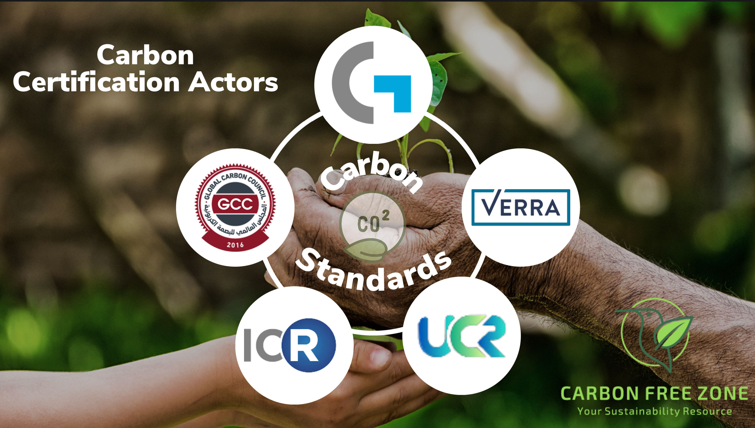 carbon certification actors
