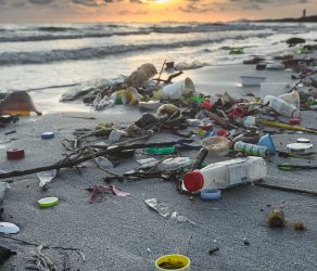 Plastics in Our Ocean and on Beach